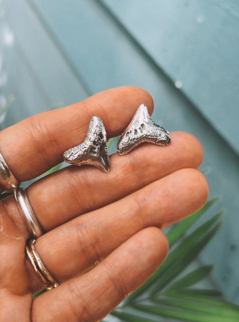 Shark Tooth Cuff Links