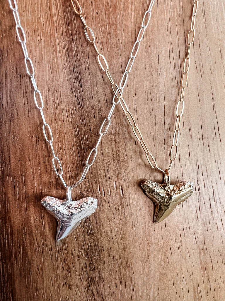 Blacktip Every Day Shark Tooth Necklace