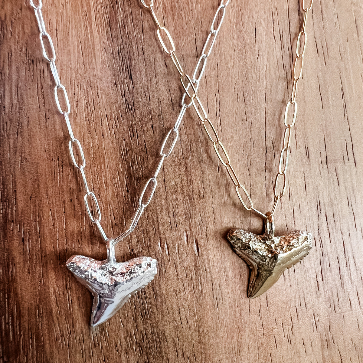 VITALY シャークフィン ネックレス Blacktip Every Day Shark Tooth Necklace– Kaypea Jewelry