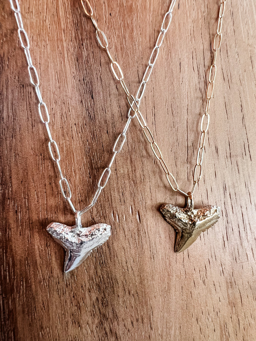 Blacktip Every Day Shark Tooth Necklace