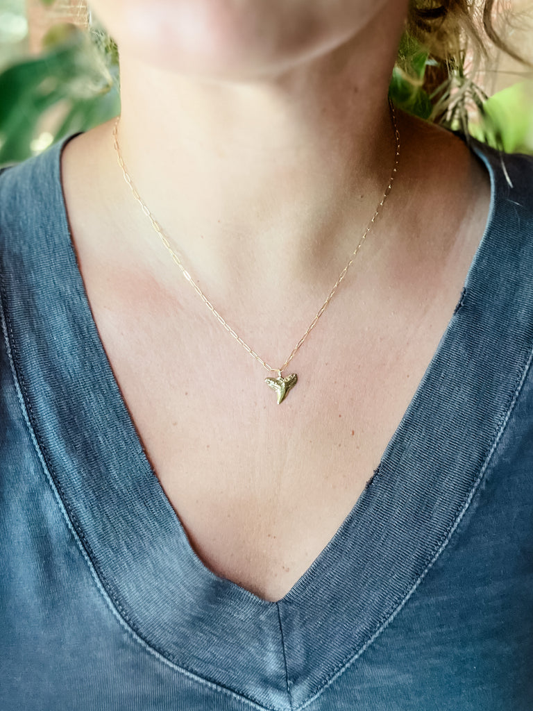 Blacktip Every Day Shark Tooth Necklace