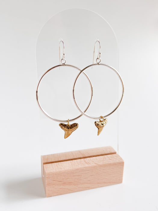 Mixed Metal Blacktip Shark Tooth Hoop Earrings