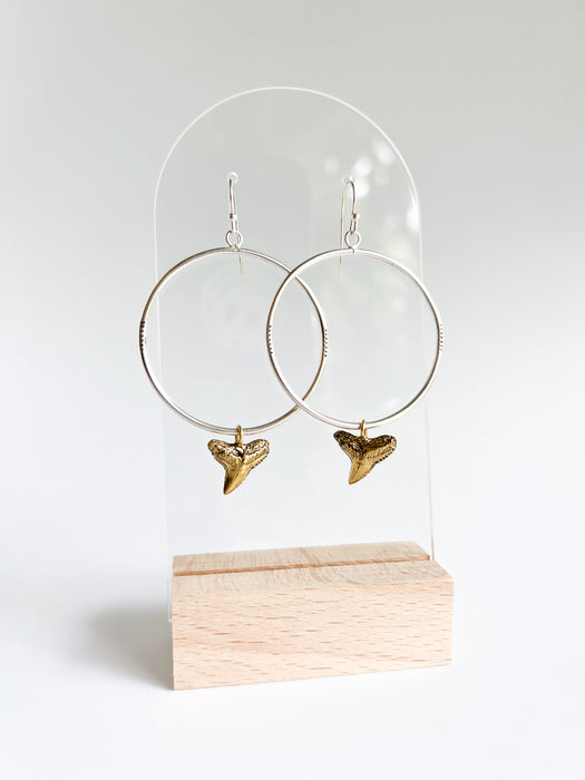 Mixed Metal Blacktip Shark Tooth Hoop Earrings