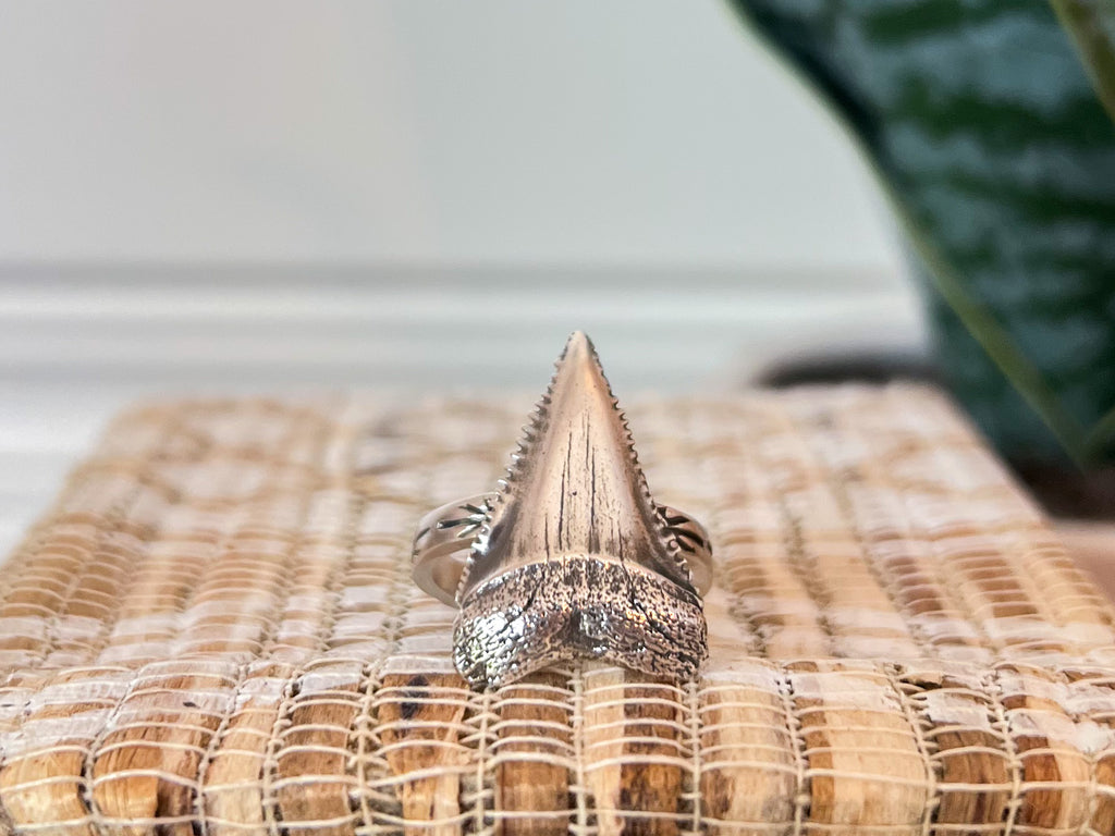Mini Great White Ring