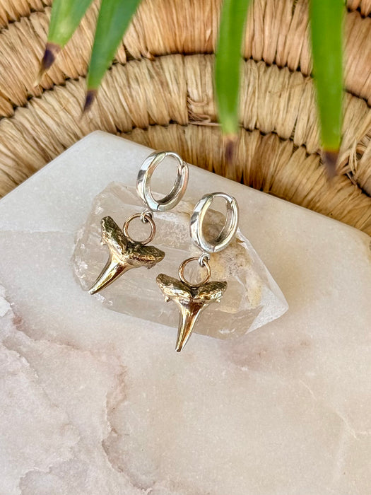 Sand Tiger Huggie Hoop Earrings