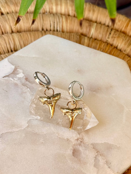 Sand Tiger Huggie Hoop Earrings