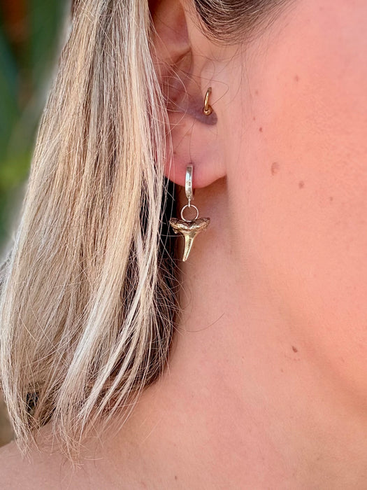 Sand Tiger Huggie Hoop Earrings