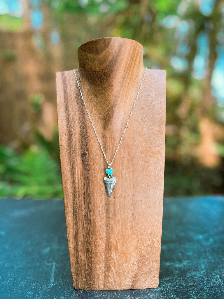 Great White Shark Tooth Necklace