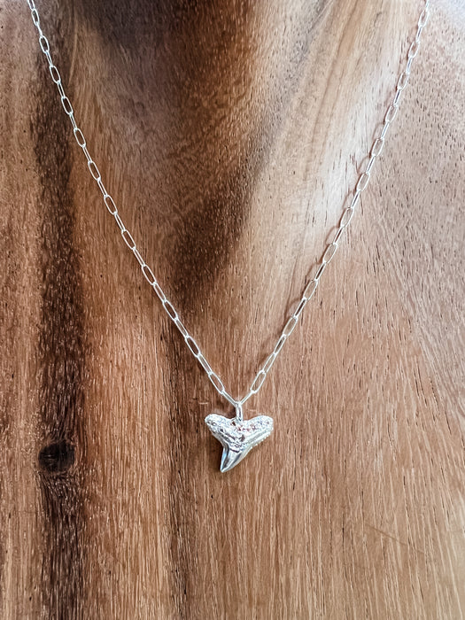 Blacktip Every Day Shark Tooth Necklace