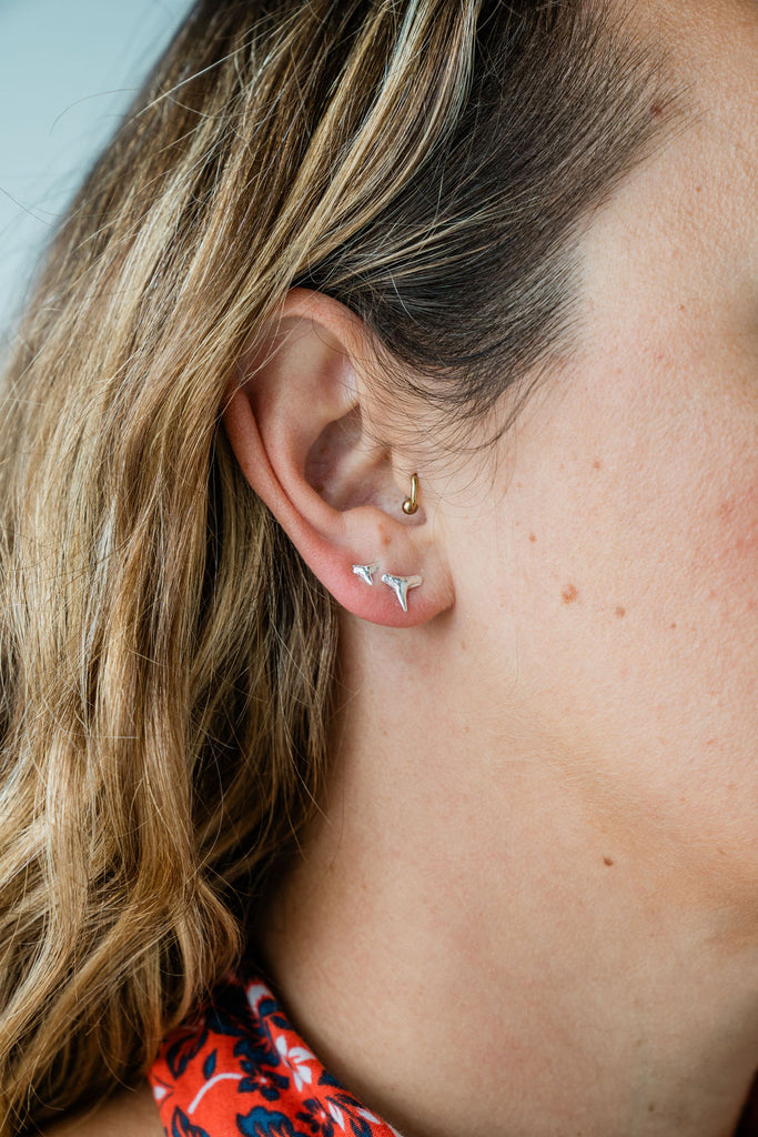 Sterling Silver Tiny Shark Tooth Stud Earrings