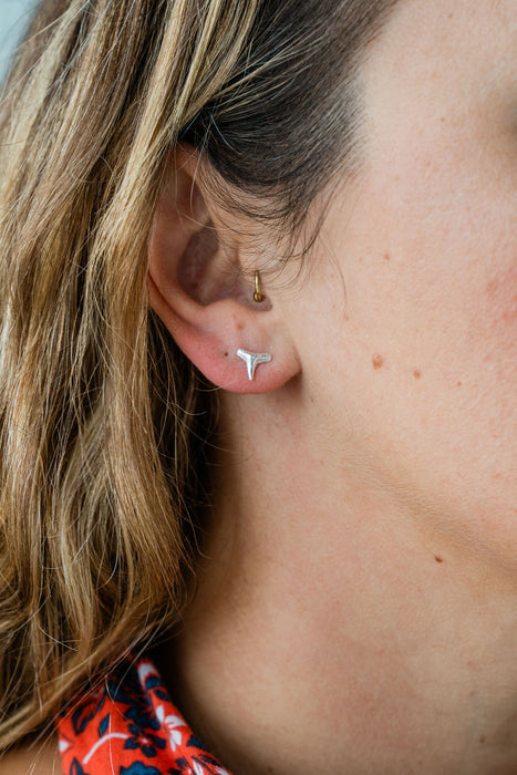 Sterling Silver Shark Tooth Stud Earrings